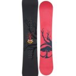 arbor-formula-snowboard-2008.jpg