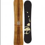 The 2009 Arbor Element