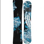 The 2009 Burton Bullet