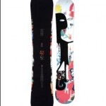 2010 Burton Vapor